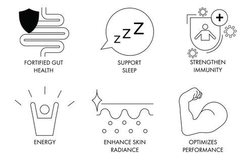 give-me-back-my-youth-icons