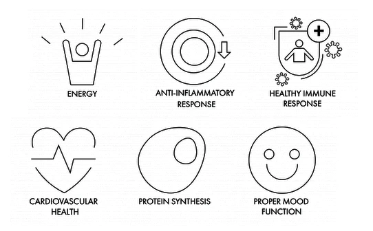 natural-barrier-support-icons